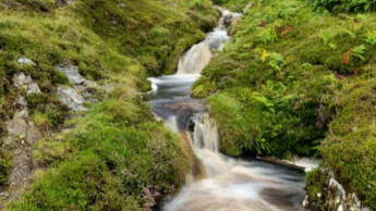Grüne Wiese und Wasserlauf