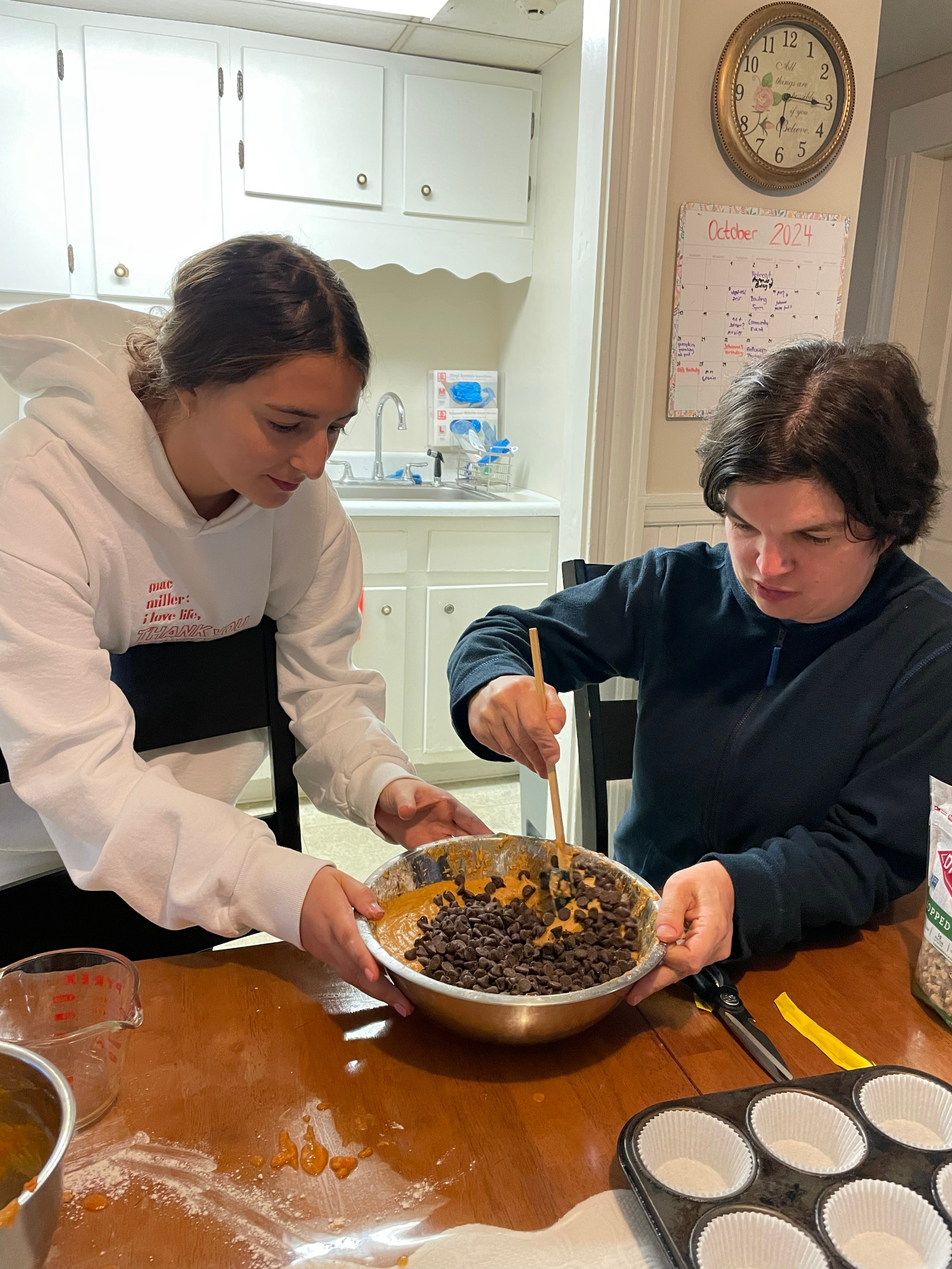 Arche Boston, USA, Freiwillige und Core Member