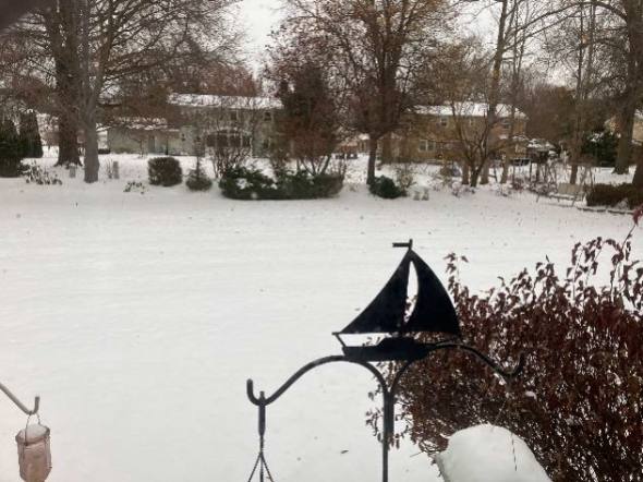 L'Arche Erie, Schnee