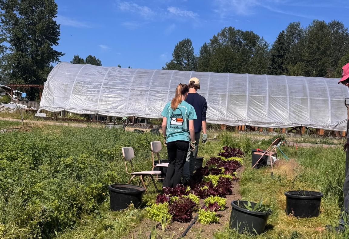 Freiwillige mit Core Membern auf Farm Tahoma Hope, USA